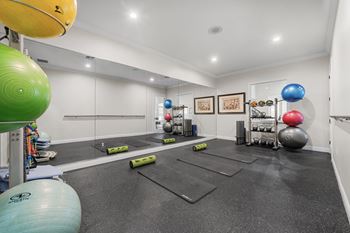 Fully equipped fitness center